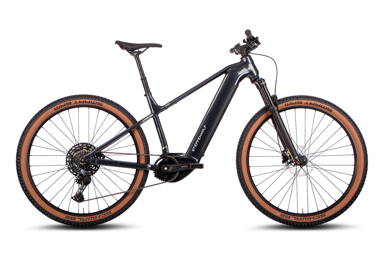 E-MTB Hardtail