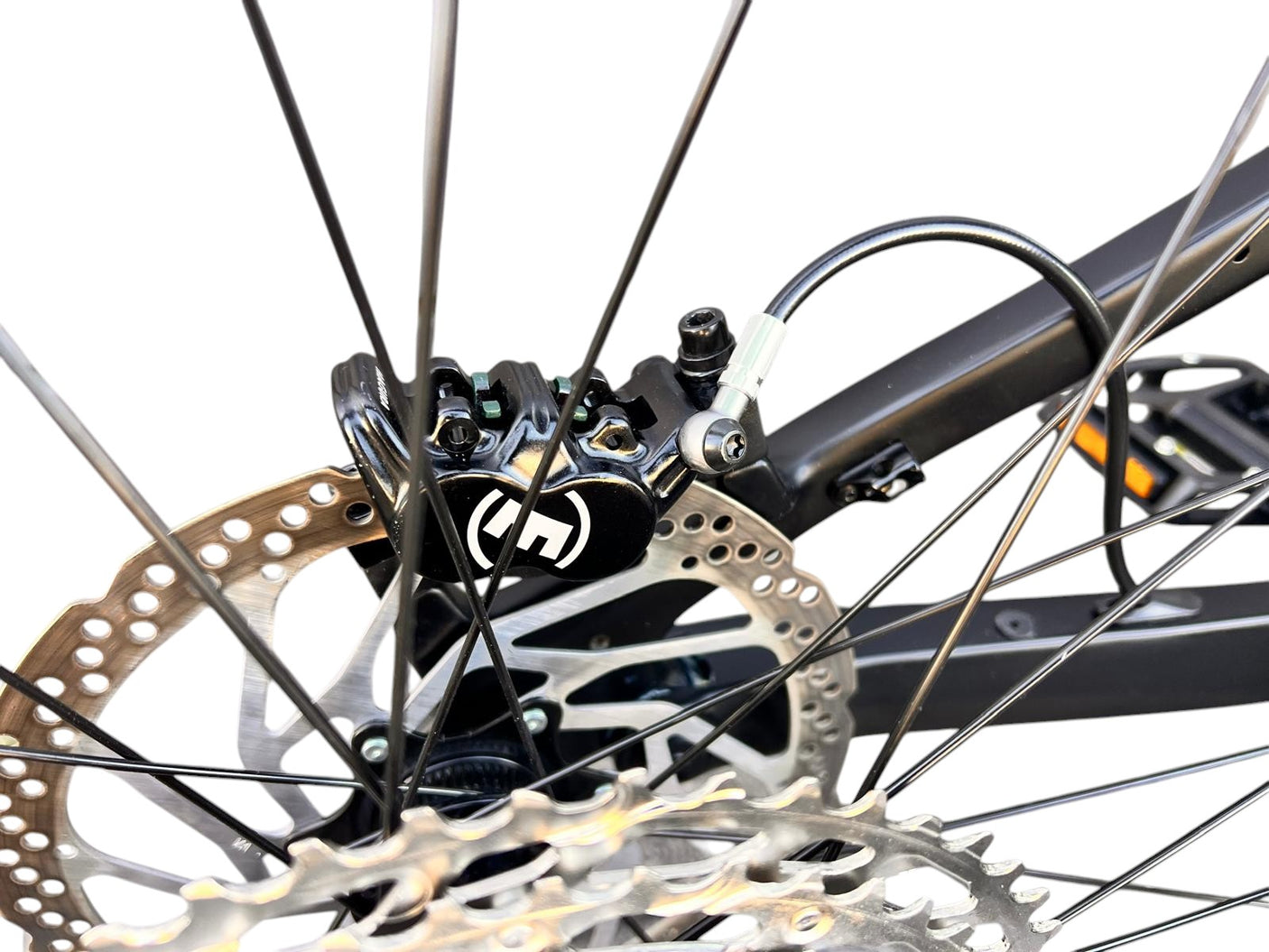 WHISTLE B-Rush C8.5, Bosch CX (Gen5), 800 Wh