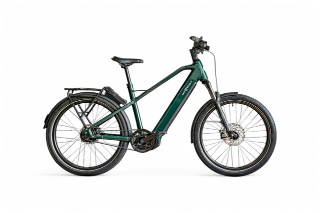 HNF XD4 All-Terrain Rohloff E14, Bosch CX (Gen4), 625 Wh