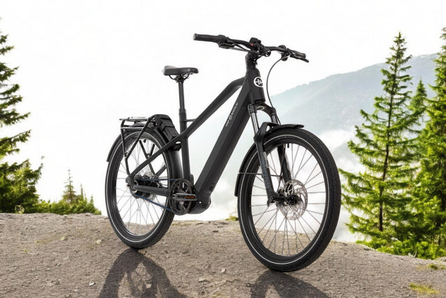 HNF XD4 All-Terrain, sistema Bosch CX Smart, 750 Wh, incl. lucchetto pieghevole ABUS