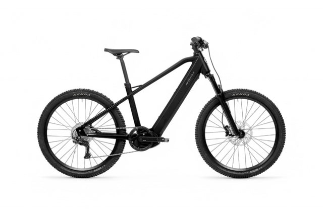 HNF XD4 Eco Naked, Bosch CX Smart System, 625 Wh