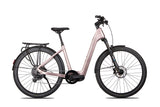 Steppenwolf Transterra Easy 9 (2027) Champagne Gloss