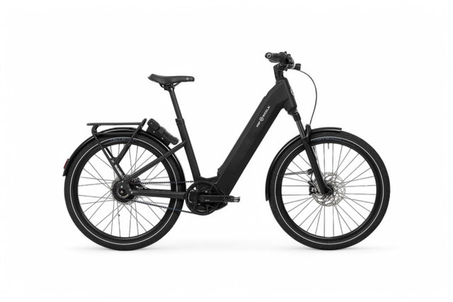 HNF UD4 All-Terrain AutomatiQ, Bosch CX Smart System, 750 Wh